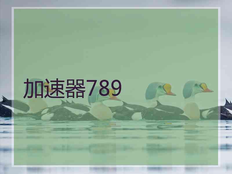 加速器789