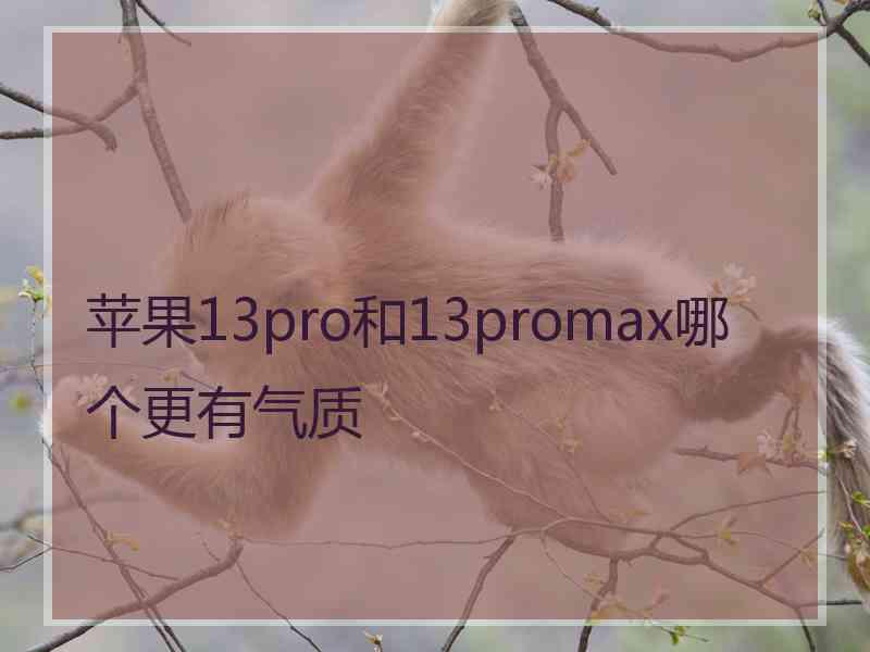 苹果13pro和13promax哪个更有气质