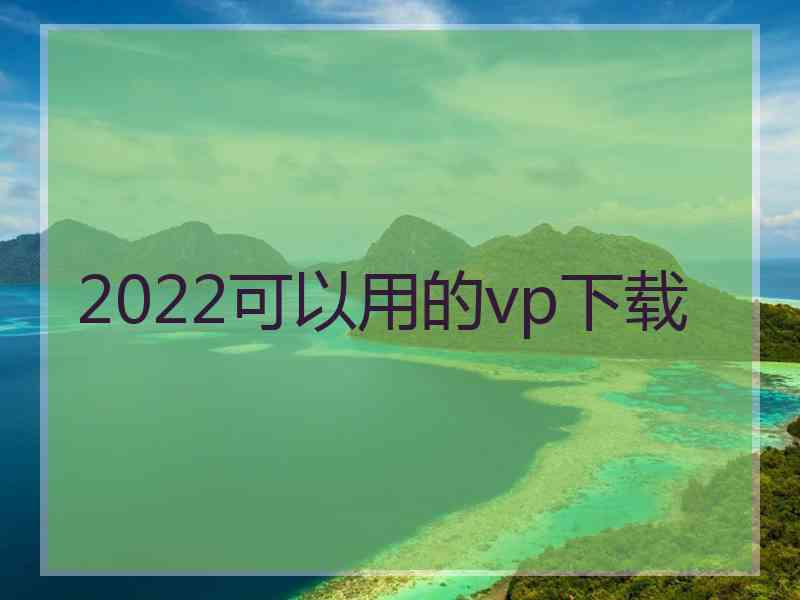 2022可以用的vp下载