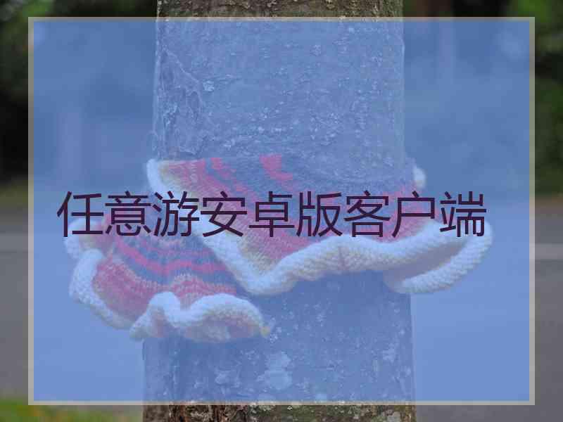 任意游安卓版客户端