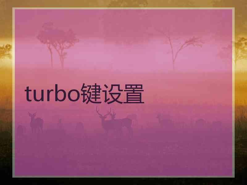 turbo键设置