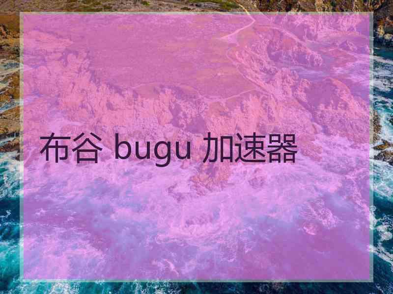 布谷 bugu 加速器