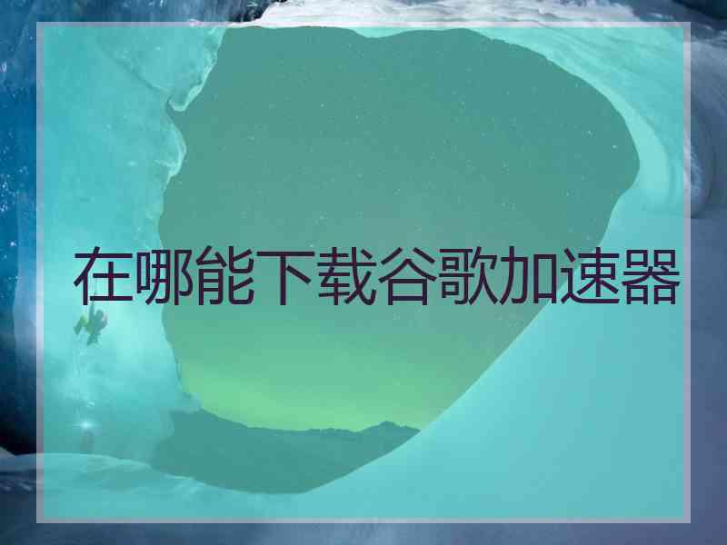 在哪能下载谷歌加速器