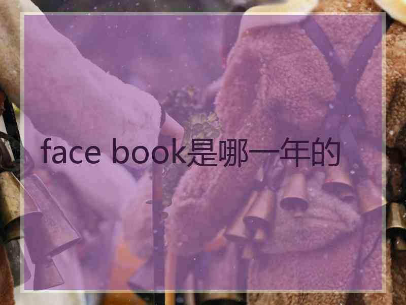 face book是哪一年的