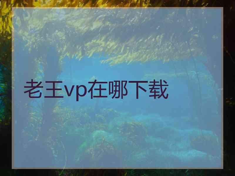 老王vp在哪下载