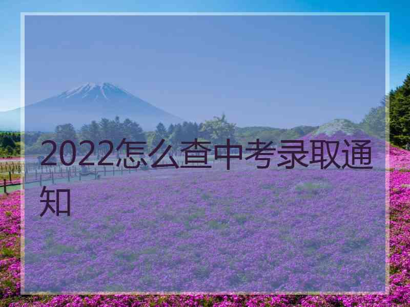 2022怎么查中考录取通知