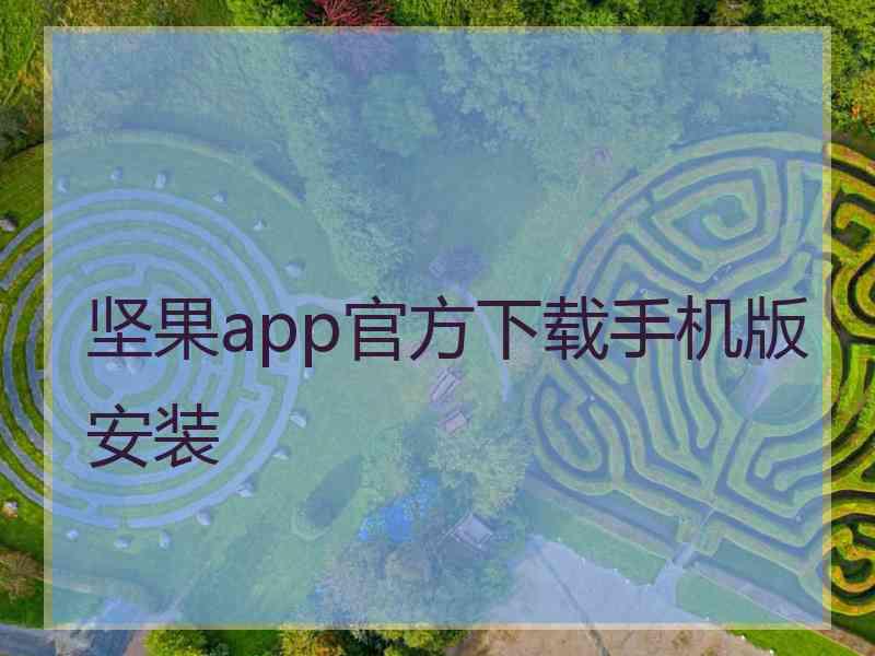 坚果app官方下载手机版安装