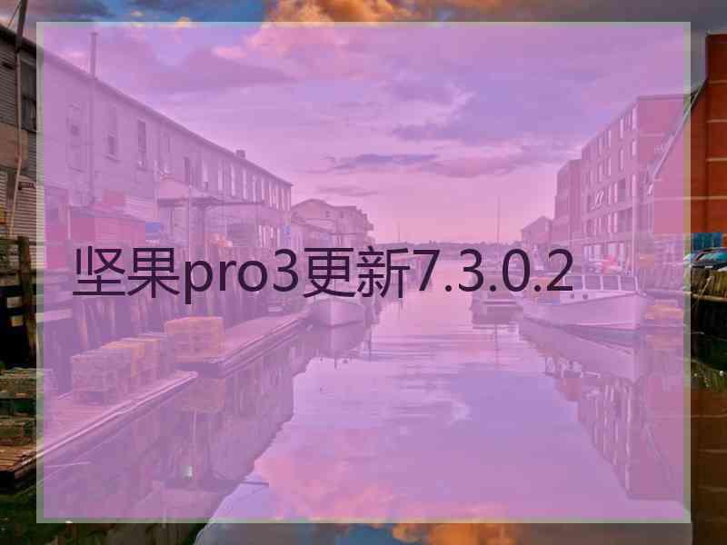 坚果pro3更新7.3.0.2