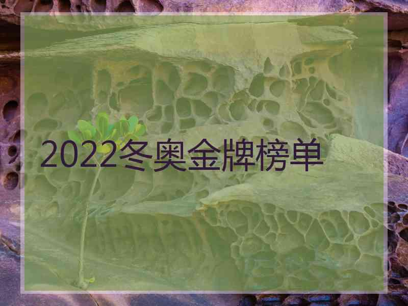 2022冬奥金牌榜单