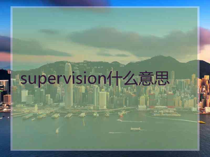 supervision什么意思