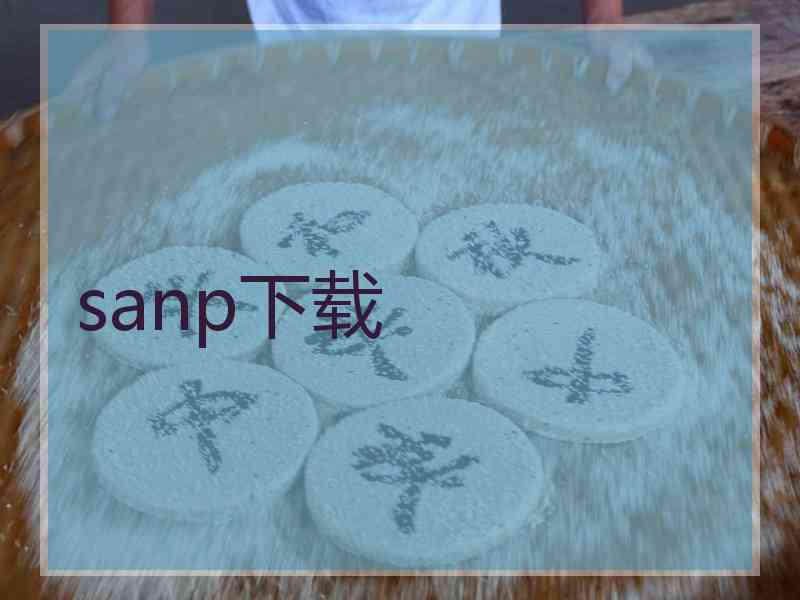 sanp下载