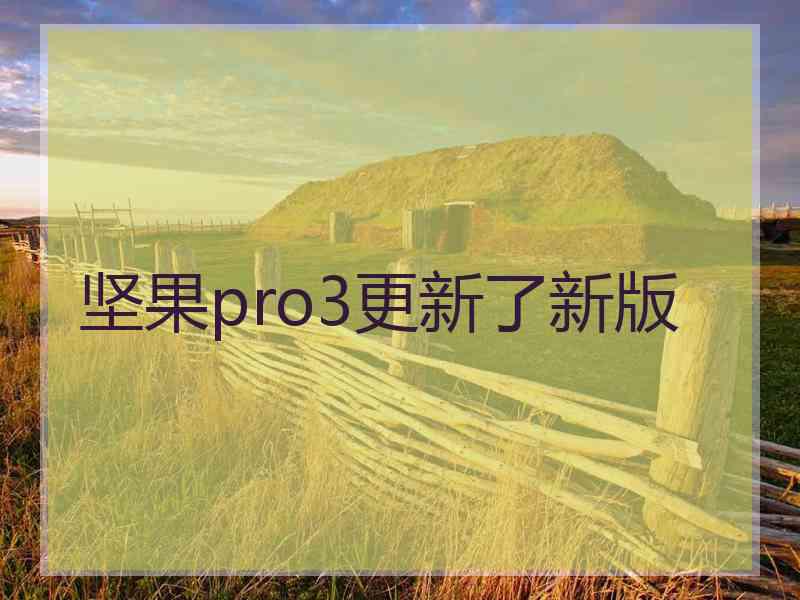 坚果pro3更新了新版