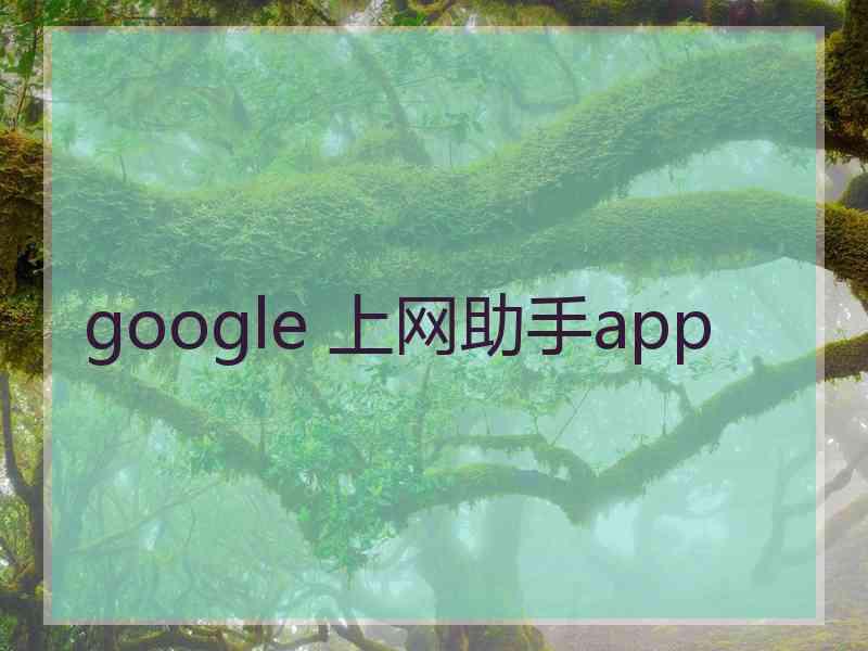 google 上网助手app