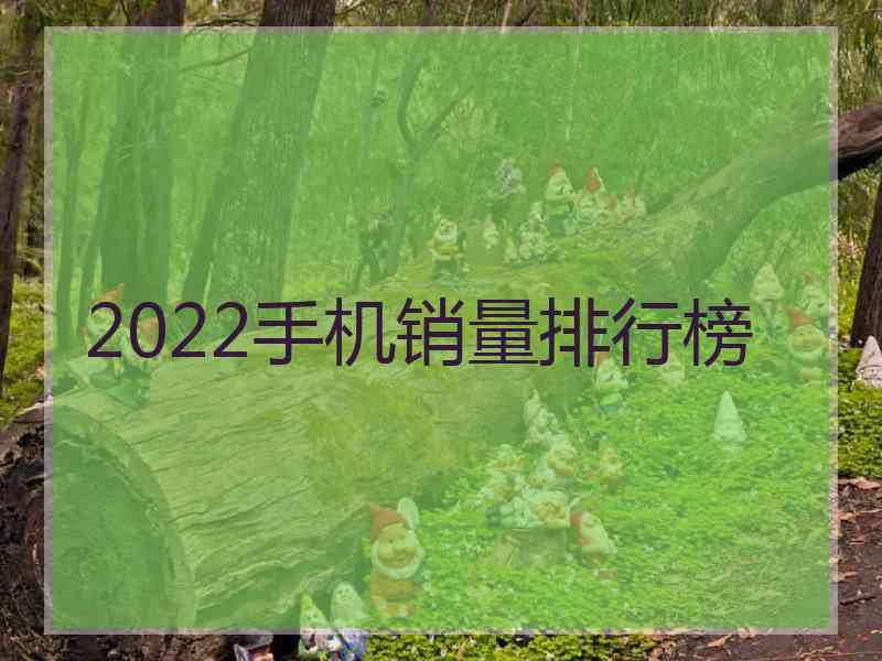 2022手机销量排行榜