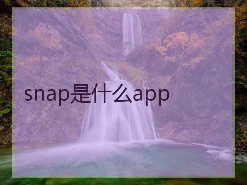 snap是什么app