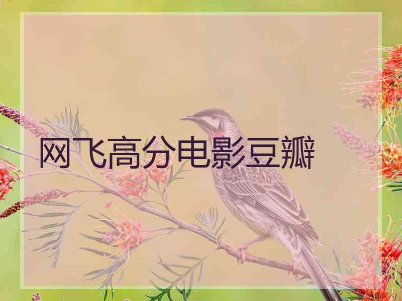 网飞高分电影豆瓣