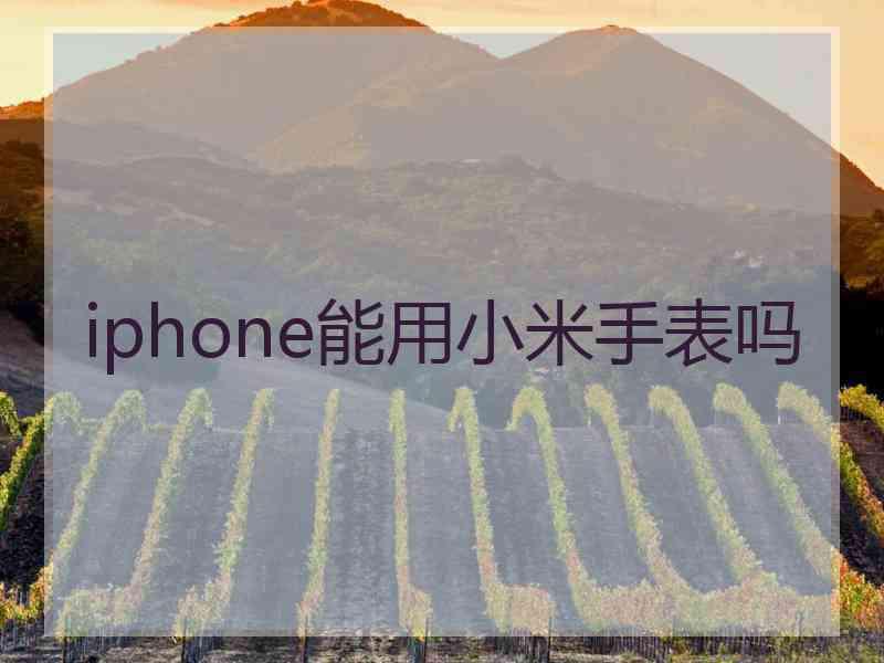 iphone能用小米手表吗