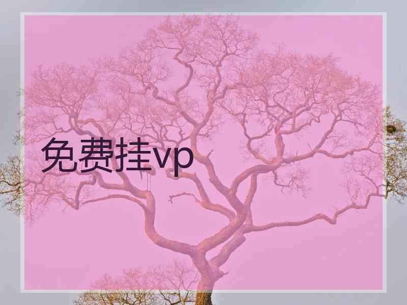 免费挂vp