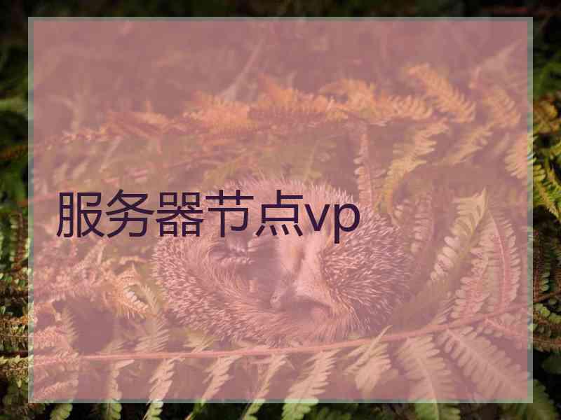 服务器节点vp