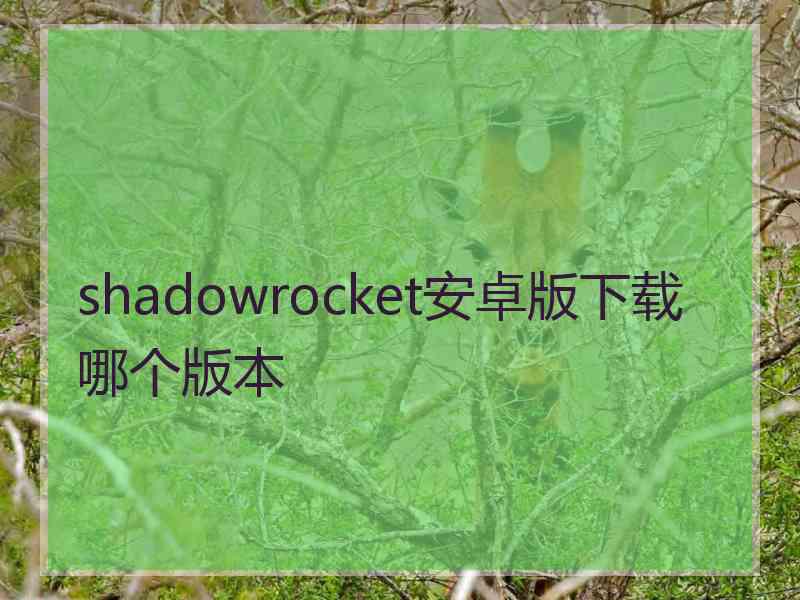 shadowrocket安卓版下载哪个版本